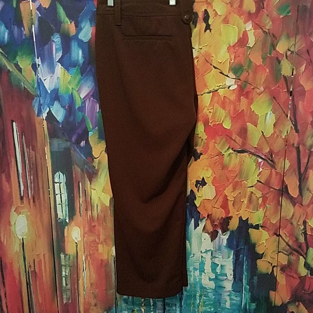 Brown Dress Pants (24W/Petite) - Picture 5 of 6